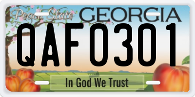 GA license plate QAF0301