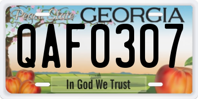 GA license plate QAF0307