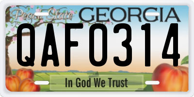 GA license plate QAF0314