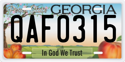 GA license plate QAF0315