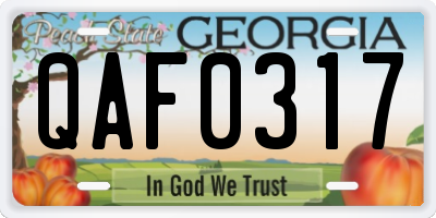 GA license plate QAF0317