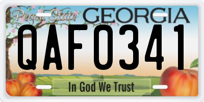 GA license plate QAF0341