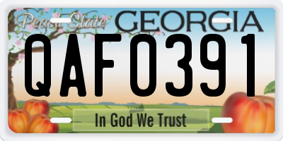 GA license plate QAF0391