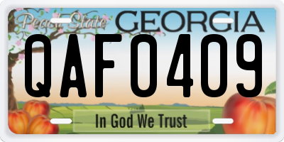 GA license plate QAF0409