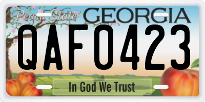 GA license plate QAF0423