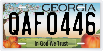 GA license plate QAF0446