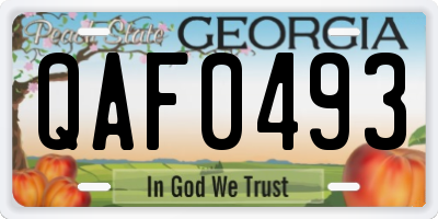 GA license plate QAF0493