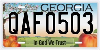 GA license plate QAF0503