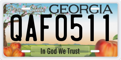GA license plate QAF0511