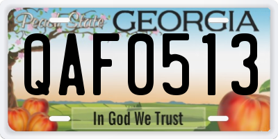 GA license plate QAF0513