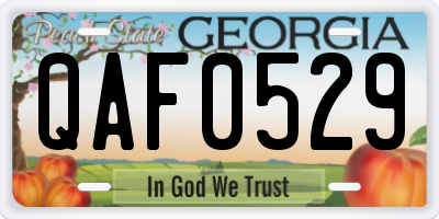 GA license plate QAF0529