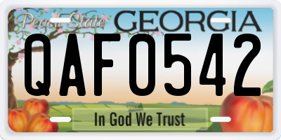 GA license plate QAF0542
