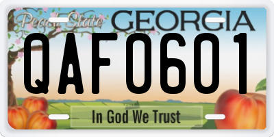 GA license plate QAF0601