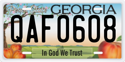 GA license plate QAF0608