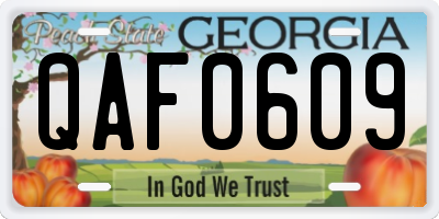 GA license plate QAF0609