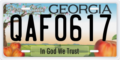 GA license plate QAF0617