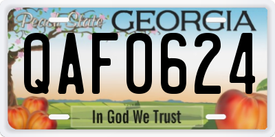 GA license plate QAF0624