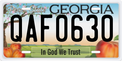 GA license plate QAF0630