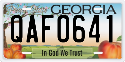GA license plate QAF0641