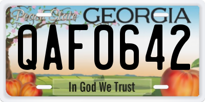 GA license plate QAF0642
