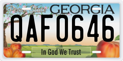 GA license plate QAF0646