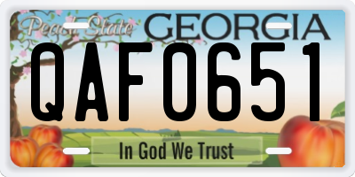 GA license plate QAF0651