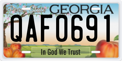 GA license plate QAF0691