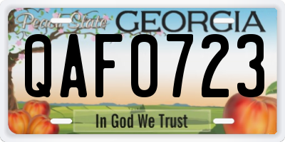 GA license plate QAF0723