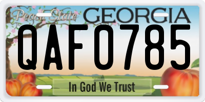 GA license plate QAF0785