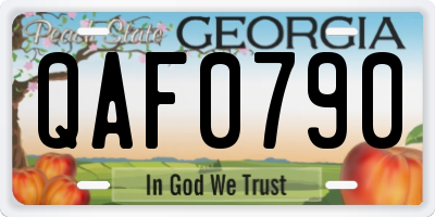 GA license plate QAF0790