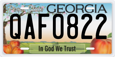 GA license plate QAF0822