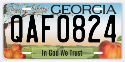 GA license plate QAF0824