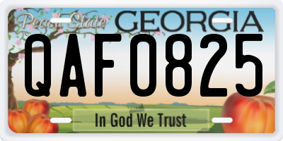 GA license plate QAF0825