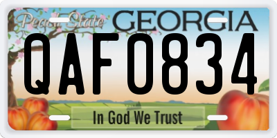 GA license plate QAF0834