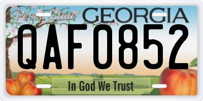 GA license plate QAF0852