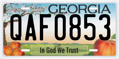 GA license plate QAF0853