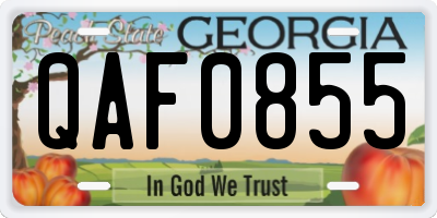 GA license plate QAF0855