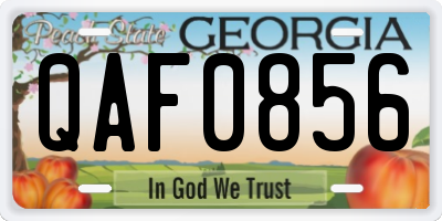 GA license plate QAF0856