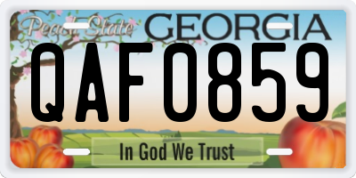 GA license plate QAF0859