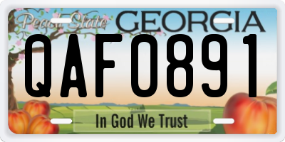 GA license plate QAF0891
