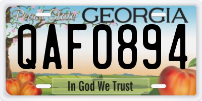 GA license plate QAF0894