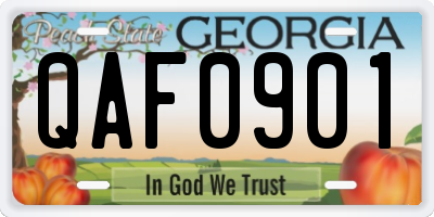 GA license plate QAF0901