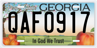 GA license plate QAF0917