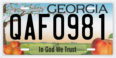GA license plate QAF0981