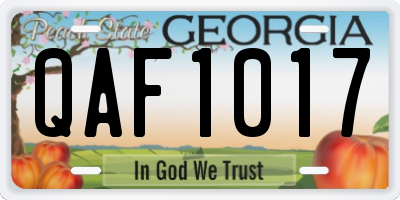 GA license plate QAF1017