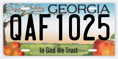 GA license plate QAF1025
