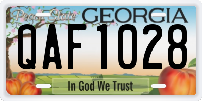 GA license plate QAF1028