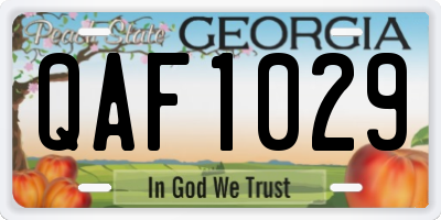 GA license plate QAF1029