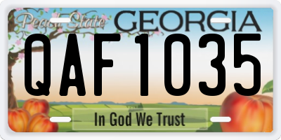 GA license plate QAF1035