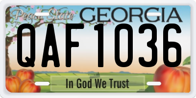 GA license plate QAF1036